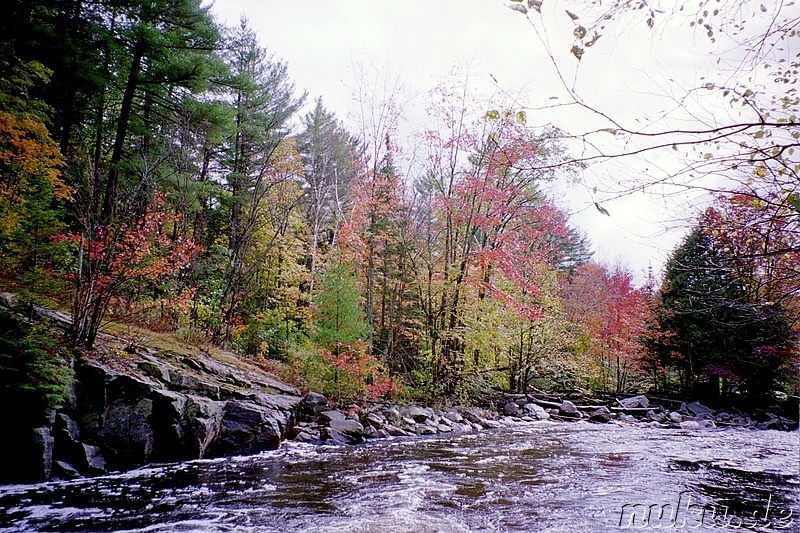 Wanderung im Algonquin Provincial Park in Ontario, Kanada