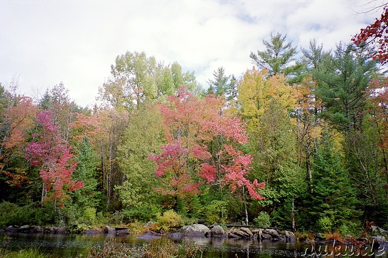 Wanderung im Algonquin Provincial Park in Ontario, Kanada