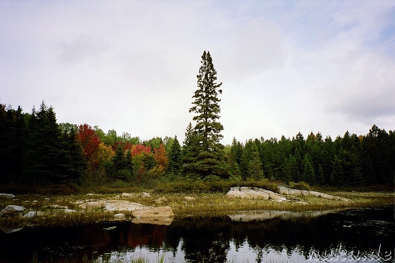 Wanderung im Algonquin Provincial Park in Ontario, Kanada