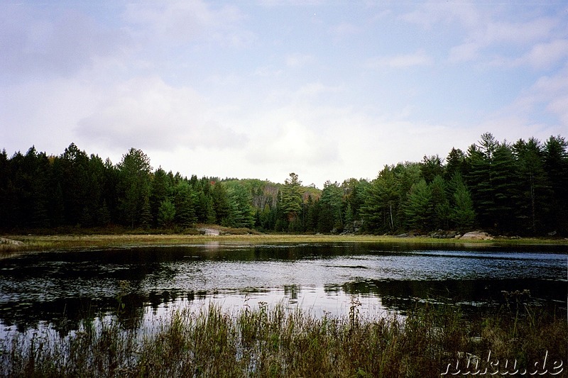 Wanderung im Algonquin Provincial Park in Ontario, Kanada