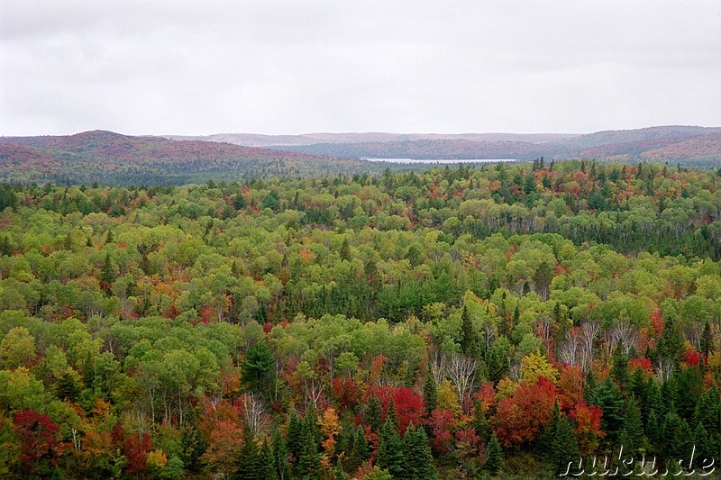 Wanderung im Algonquin Provincial Park in Ontario, Kanada