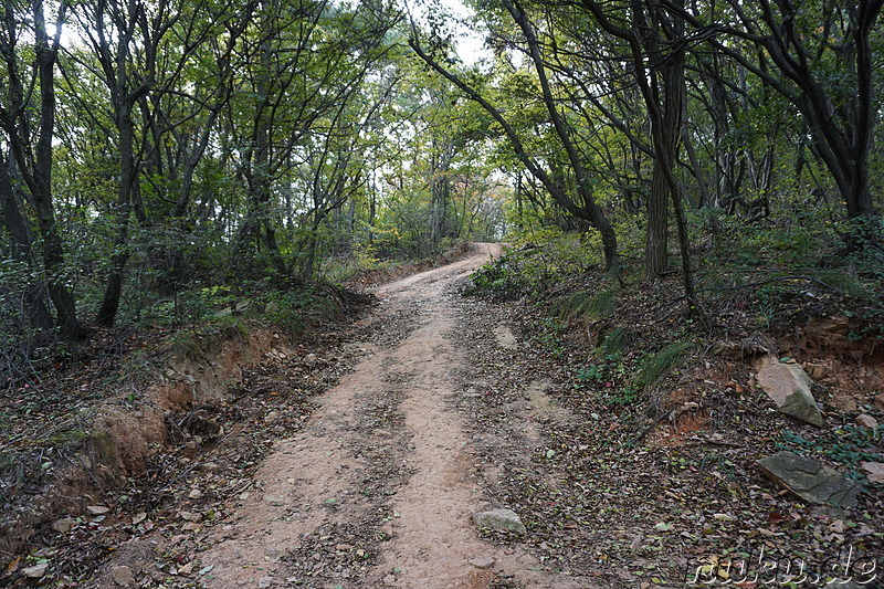 Wanderung über den Horyonggoksan Berg (호룡곡산) von Gwangmyeong nach Hanagae auf der Insel Muuido, Korea