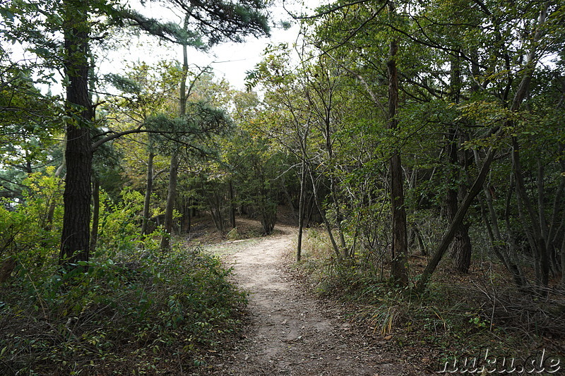 Wanderung über den Horyonggoksan Berg (호룡곡산) von Gwangmyeong nach Hanagae auf der Insel Muuido, Korea