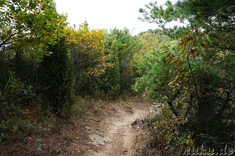 Wanderung über den Horyonggoksan Berg (호룡곡산) von Gwangmyeong nach Hanagae auf der Insel Muuido, Korea