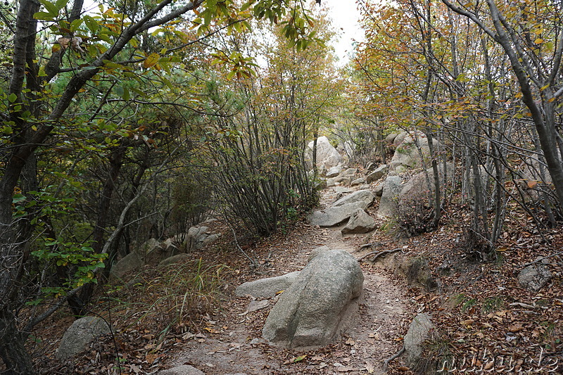 Wanderung über den Horyonggoksan Berg (호룡곡산) von Gwangmyeong nach Hanagae auf der Insel Muuido, Korea