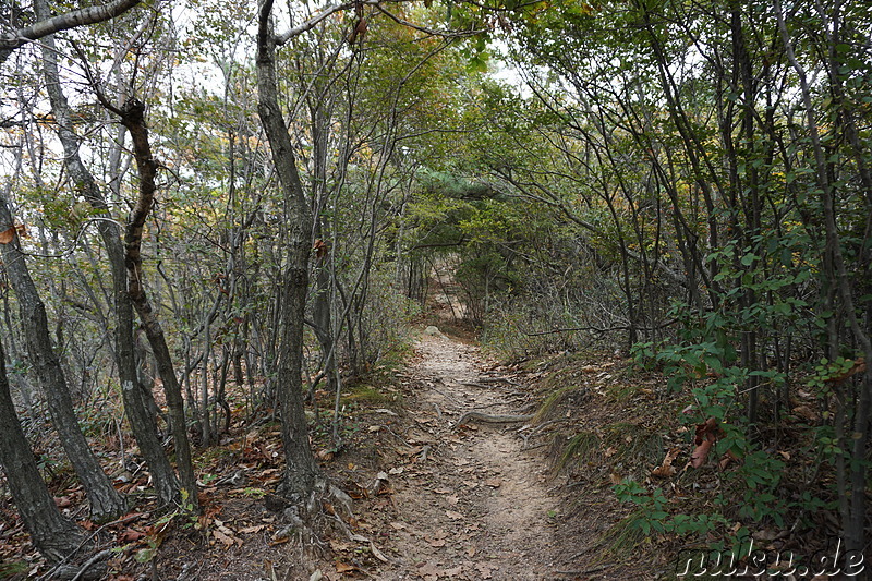 Wanderung über den Horyonggoksan Berg (호룡곡산) von Gwangmyeong nach Hanagae auf der Insel Muuido, Korea