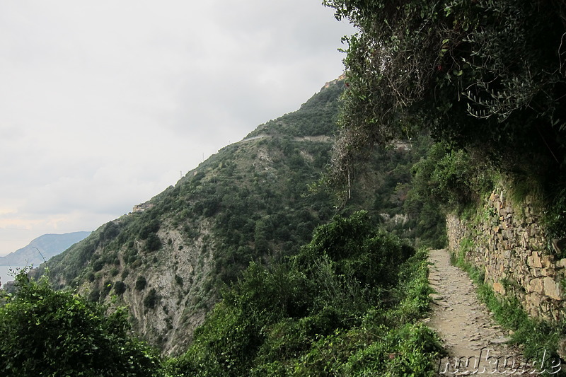 Wanderung von Vernazza nach Corniglia in Italien