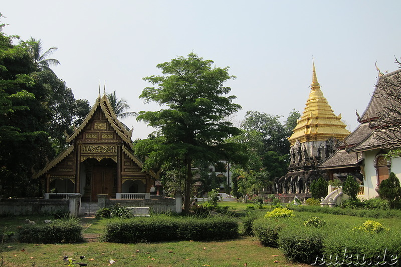 Wat Chiang Man Tempel in Chiang Mai, Thailand