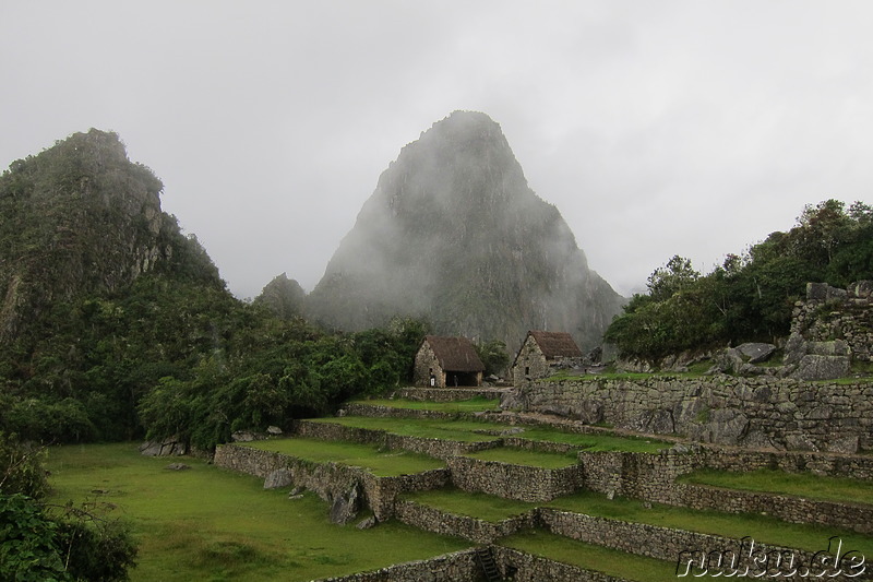 Wayna Picchu, Machu Picchu, Peru