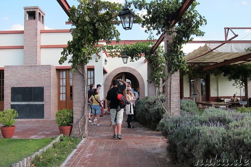 Weingut Alta Vista in Chacras de Coria, Argentinien