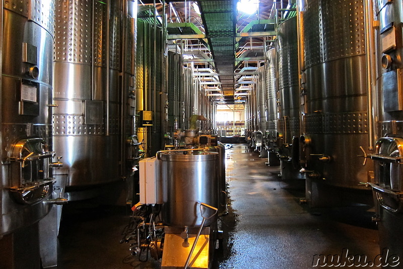 Weingut Alta Vista in Chacras de Coria, Argentinien