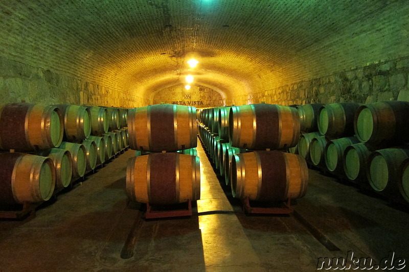 Weingut Alta Vista in Chacras de Coria, Argentinien