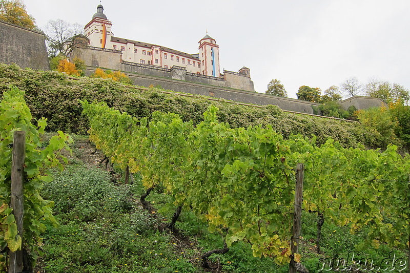 Weinwanderweg in Würzburg, Bayern