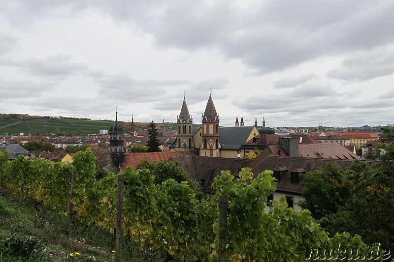 Weinwanderweg in Würzburg, Bayern