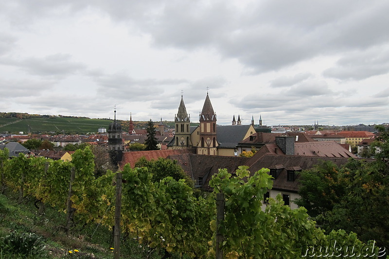 Weinwanderweg in Würzburg, Bayern