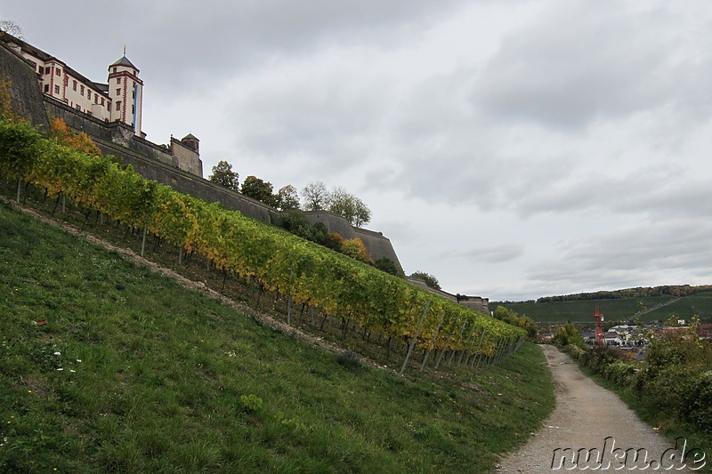 Weinwanderweg in Würzburg, Bayern