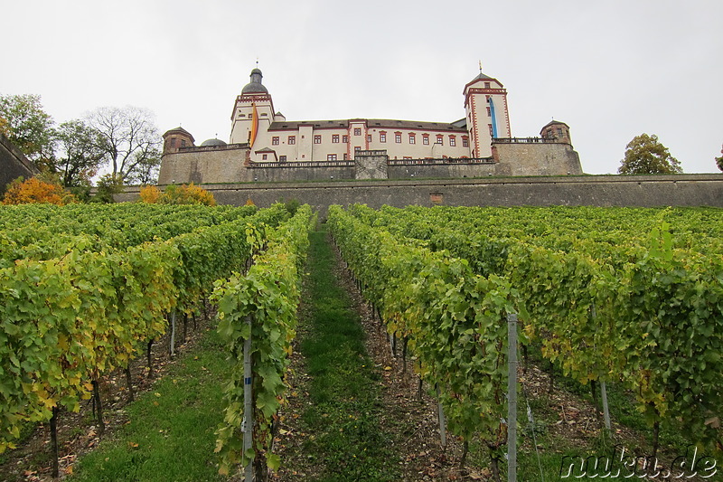 Weinwanderweg in Würzburg, Bayern