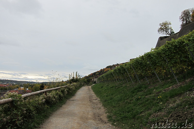 Weinwanderweg in Würzburg, Bayern