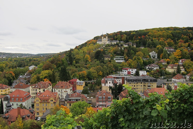 Weinwanderweg in Würzburg, Bayern