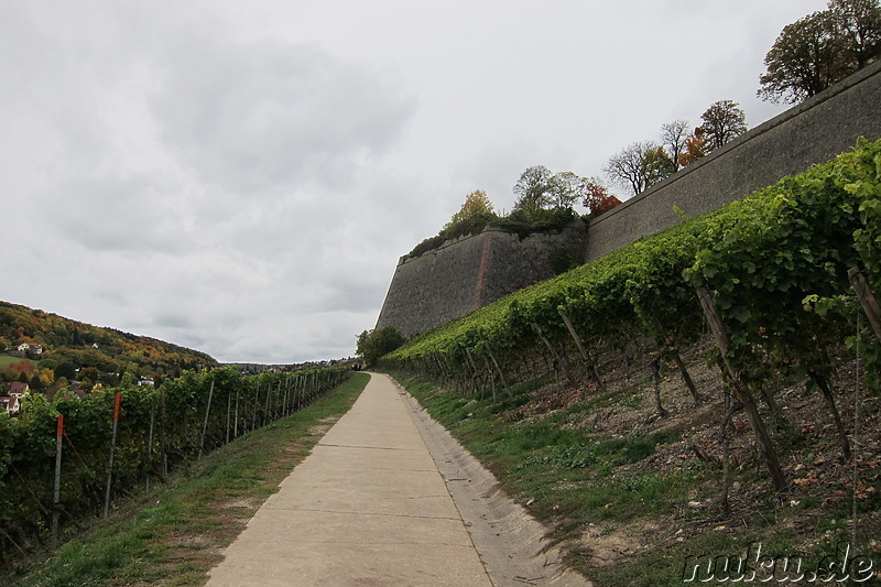 Weinwanderweg in Würzburg, Bayern