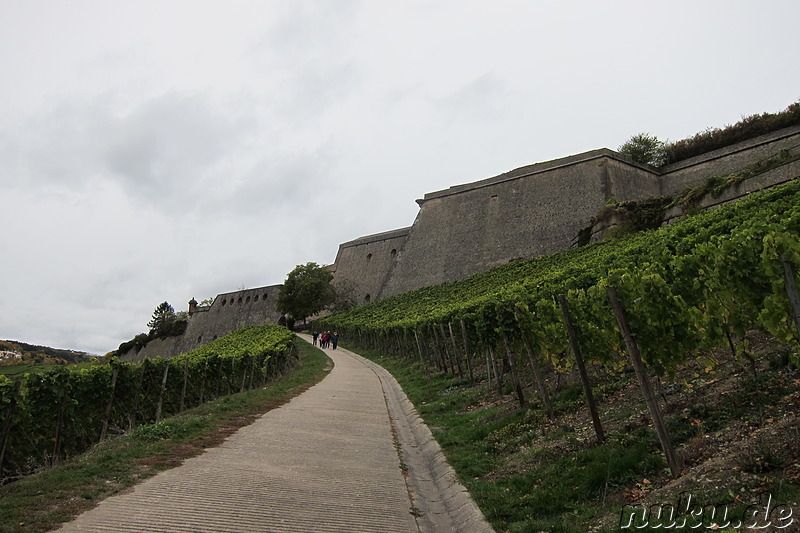 Weinwanderweg in Würzburg, Bayern