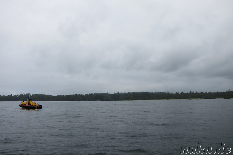 Whale Watching Tour mit Remote Passages in Tofino, Vancouver Island, Kanada