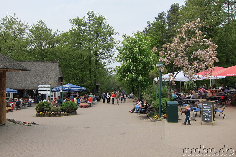 Wildpark Lüneburger Heide in Nindorf