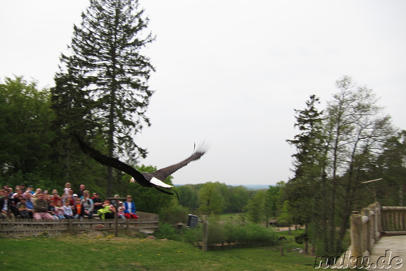 Wildpark Lüneburger Heide in Nindorf