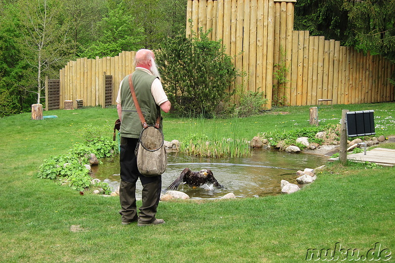 Wildpark Lüneburger Heide in Nindorf