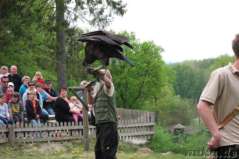 Wildpark Lüneburger Heide in Nindorf