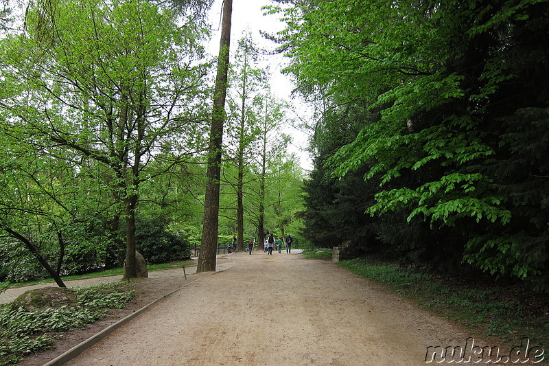 Wildpark Lüneburger Heide in Nindorf