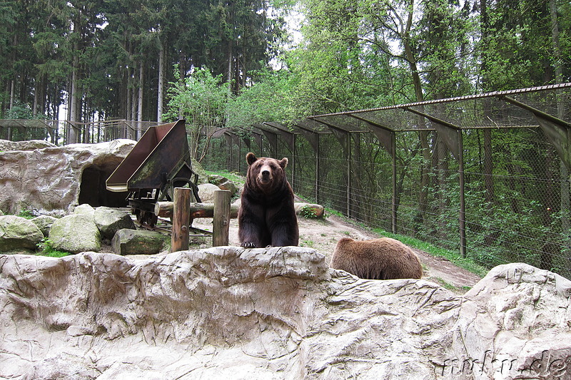 Wildpark Lüneburger Heide in Nindorf