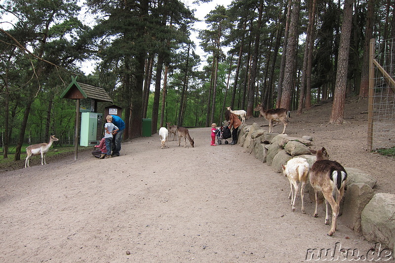 Wildpark Lüneburger Heide in Nindorf